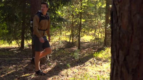 A Hiker Walks Through a Forest