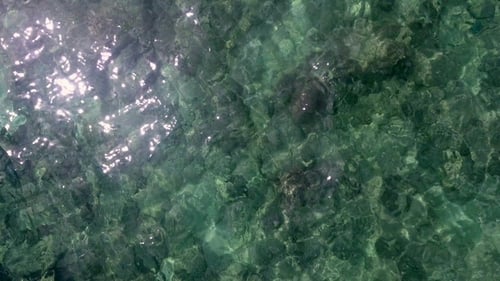 Voler au-dessus de l'eau de mer