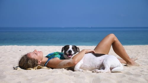 Girl On Beach Vacation With Her Pet Dog