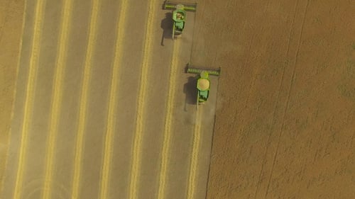 Three Combines Working on the Large Wheat Field