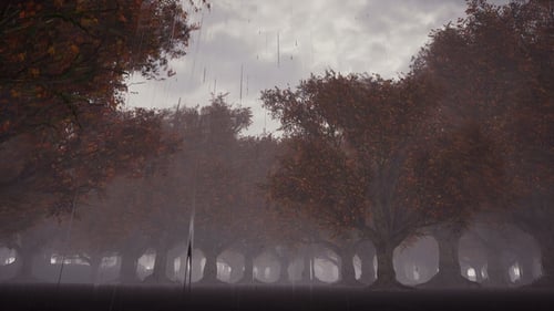 Rain in a Gloomy Forest