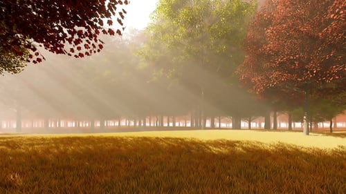 Bright Autumn Forest with Sun Rays