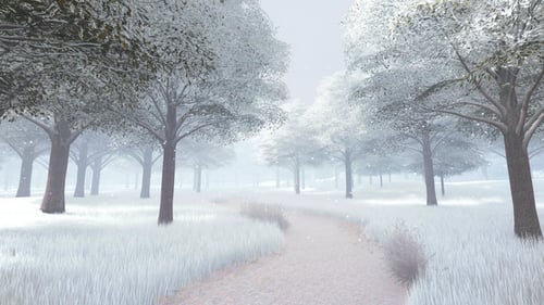 Wald im Winter