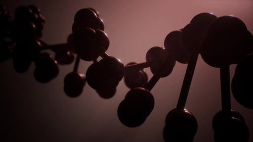 DNA Model Rotate
