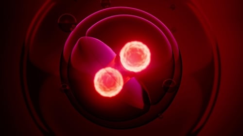 Rotate Cell Division