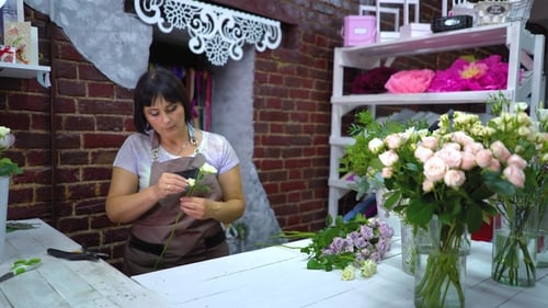 Dolly Shot Professional Florist Sorting and Inspecting White Rose Branch From Dry Petals