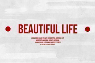 Beautiful Life