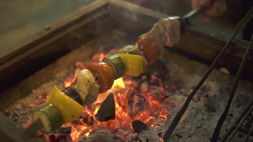 Delicious Meat and Vegetables Roast on Barbeque Grill Outdoor