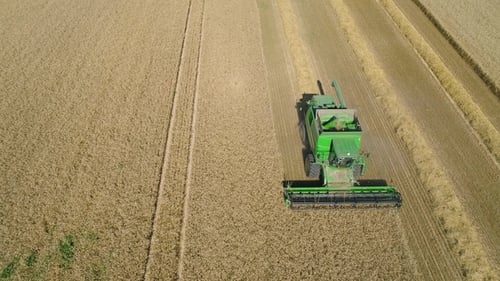 Combine Harvester on Wheat Field