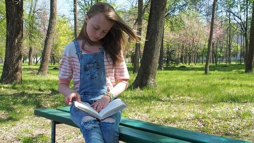 A Girl Is Reading a Book in the Park