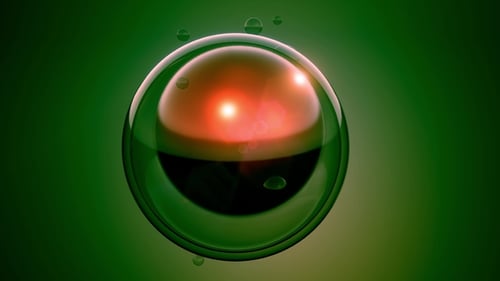 Girar divisão celular