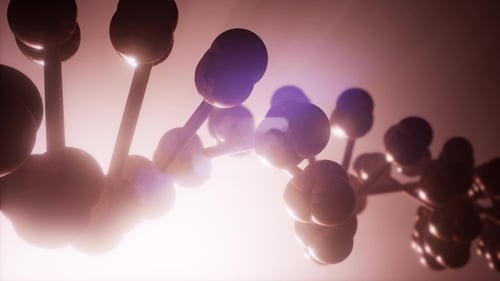 DNA Model Rotate