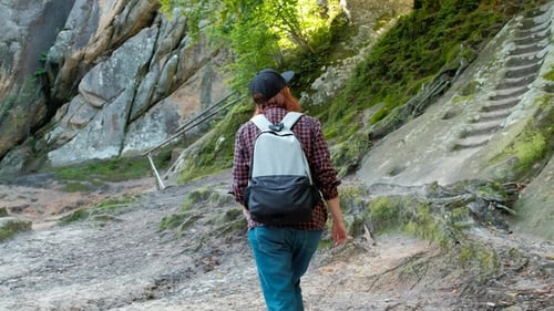 Hiker Woman Hiking in Forest, Stops and Looks Around. Smiling Happy Active Female During Hike