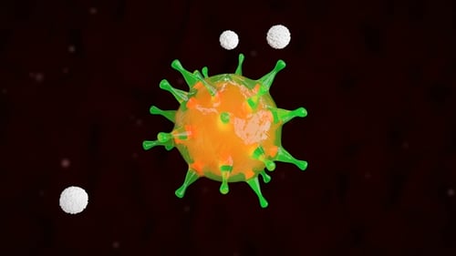 3D Animation of Virus Being Neutralized by Immune Cells