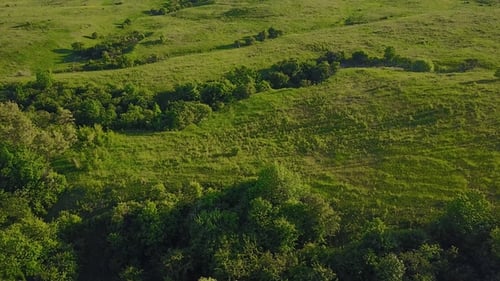 Landscape with a Bird's Eye View