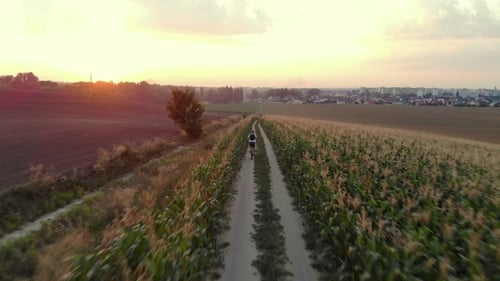 Cyclist Rides Along Country Road Airview