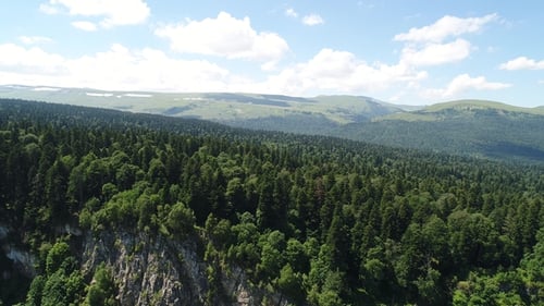Aerial View - Green Forest, Hills, Beautiful Panorama of Wildlife.