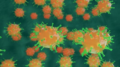 Células bacterianas a través del visor de un microscopio