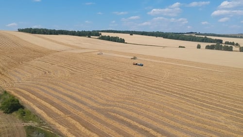 Luftaufnahme Mähdrescher sammelt Weizen auf einem großen Feld