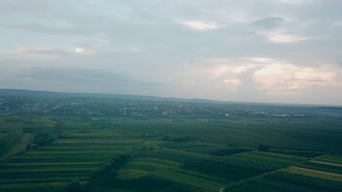 Champ avec vue plongeante