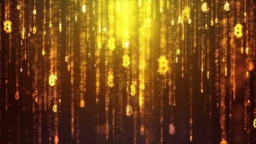 In den goldenen Bitcoin-Regen fliegen