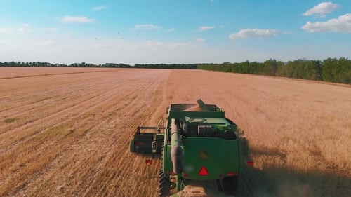 Aerial View of a Combine Harvester Working in a Field