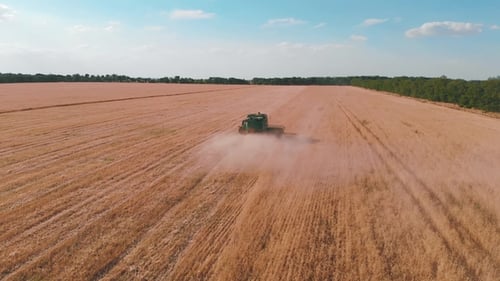Aerial View of a Combine Harvester Working in a Field at Sunset