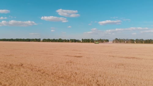 Luftaufnahme eines Mähdreschers, der bei Sonnenuntergang auf einem Feld arbeitet