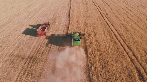 Harvester Working in a Field at sunset