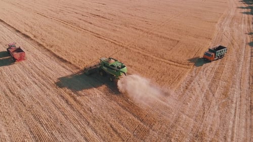 Combine Harvester Working in a Field at Sunset