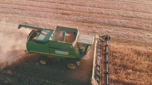 Combine Harvester Working in a Field at sunset