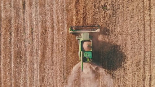 Aerial Drone Shot of a Combine Harvester Working in a Field at sunset.Harvesting