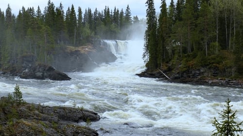 Scenic Waterfall Flowing Through a Lush Forest