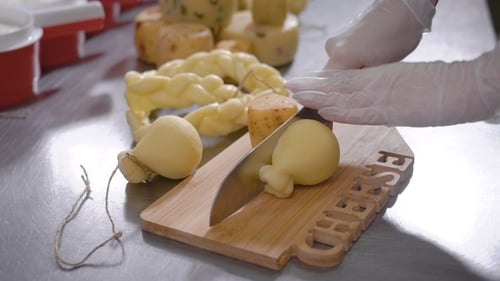 Cheese Maker Is Cutting Final Cheese Product on a Wooden Chopping Board on a Table, of Hands