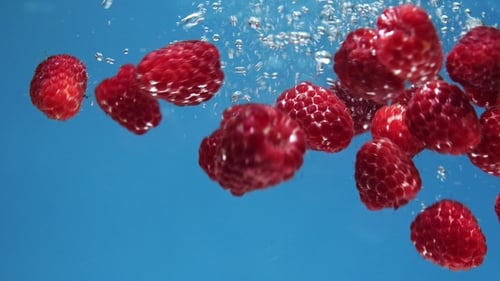 Many Red Raspberries Are Falling Into Water Against Blue Background.
