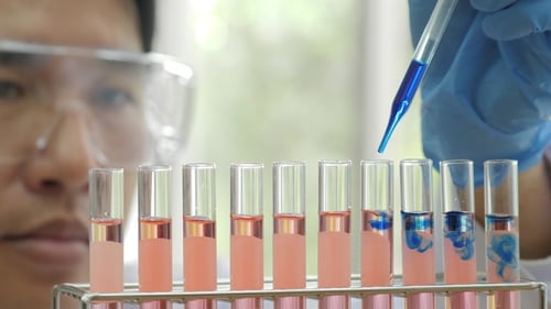 Scientist Adds Blue Liquid to Test Tubes