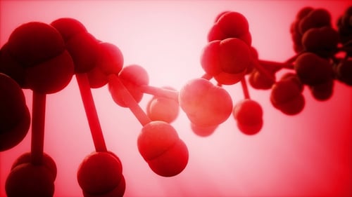 DNA Model Rotate