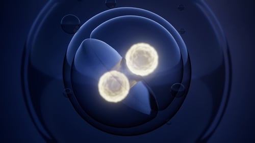 Rotate Cell Division