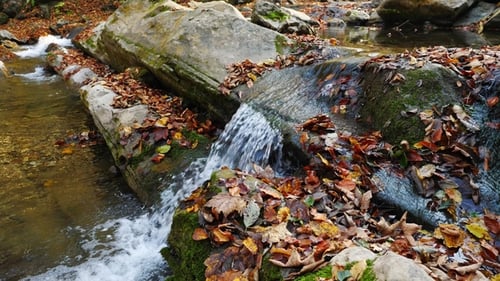 The Mountain River with Waterfall in Autumn Forest at Amazing Sunny Day