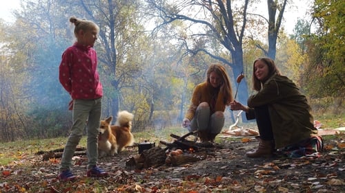 Girls Cooking Sausages at Campfire in Autumn Woods