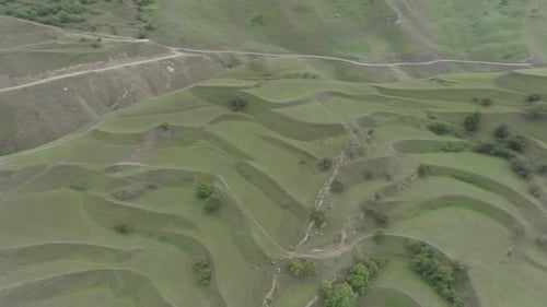 Beautiful Mountain Green Fields Terraces