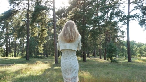 Beauty Romantic Young Woman in Dress in the Forest on Sunset