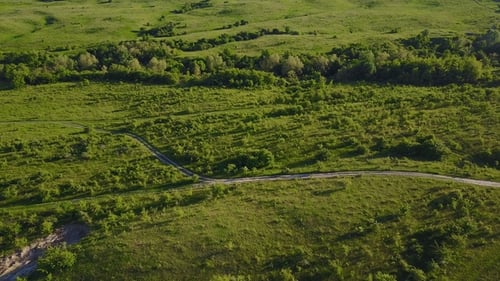 Dirt Road To the Meadow