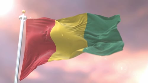 Realistic 3D Guinea Flag Waving Animation