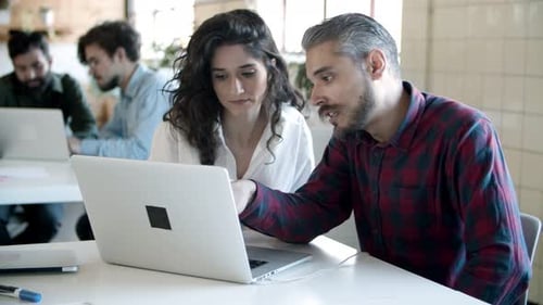 Team Works Together on Laptop in Office