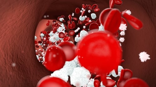 Blood Cells, Leukocytes, Platelets in Bloodstream