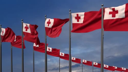 Realistic Waving Flags Of Tonga In Seamless Loop