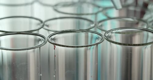 Liquid Dispensed into Test Tubes in a Laboratory