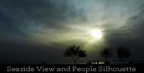 Seaside View And People Silhouette