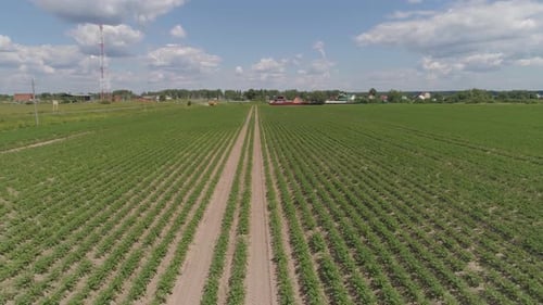 Aerial View Farmland